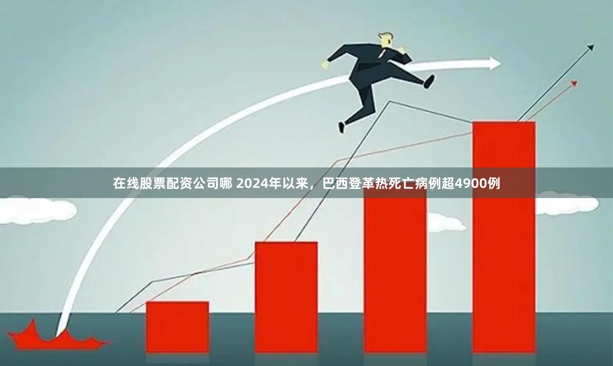 在线股票配资公司哪 2024年以来，巴西登革热死亡病例超4900例