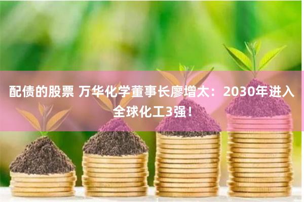 配债的股票 万华化学董事长廖增太：2030年进入全球化工3强！