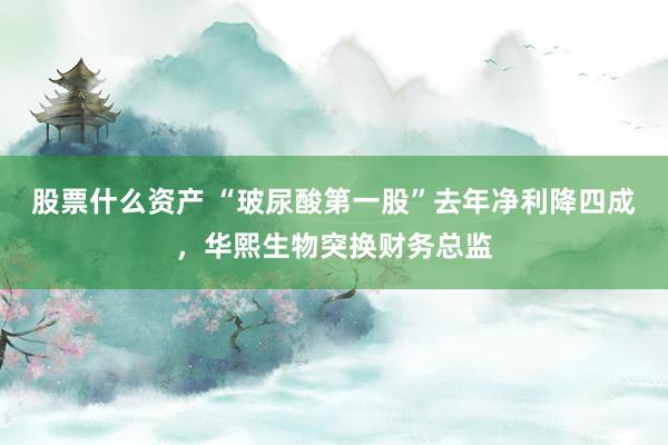 股票什么资产 “玻尿酸第一股”去年净利降四成，华熙生物突换财务总监