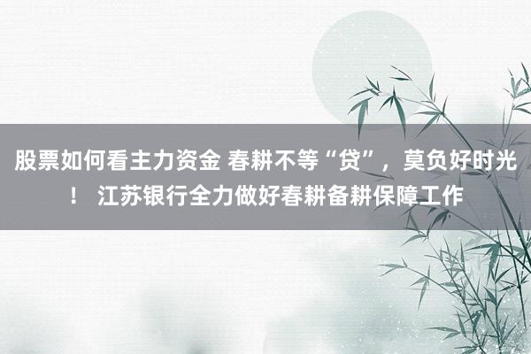 股票如何看主力资金 春耕不等“贷”，莫负好时光！ 江苏银行全力做好春耕备耕保障工作