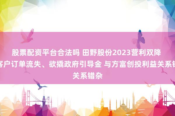 股票配资平台合法吗 田野股份2023营利双降 大客户订单流失、欲撬政府引导金 与方富创投利益关系错杂