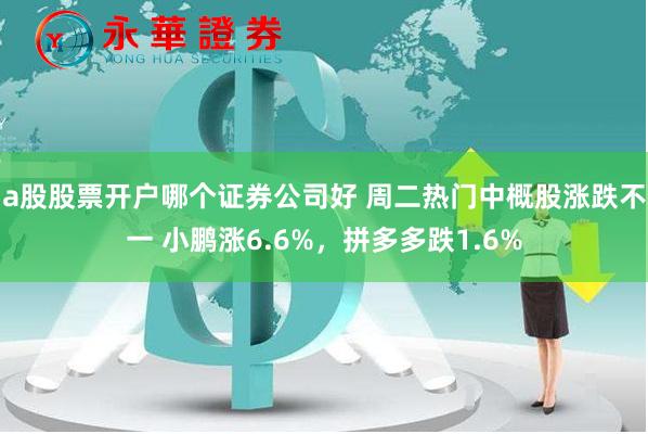 a股股票开户哪个证券公司好 周二热门中概股涨跌不一 小鹏涨6.6%，拼多多跌1.6%